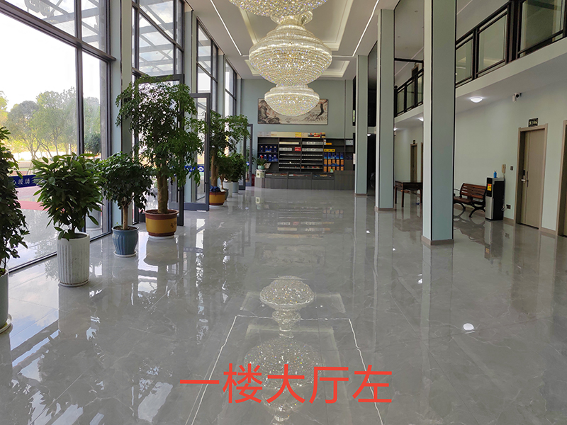 大厅展示